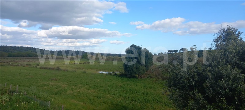 Moradia T3 à venda em Azinhal, Castro Marim — foto 3