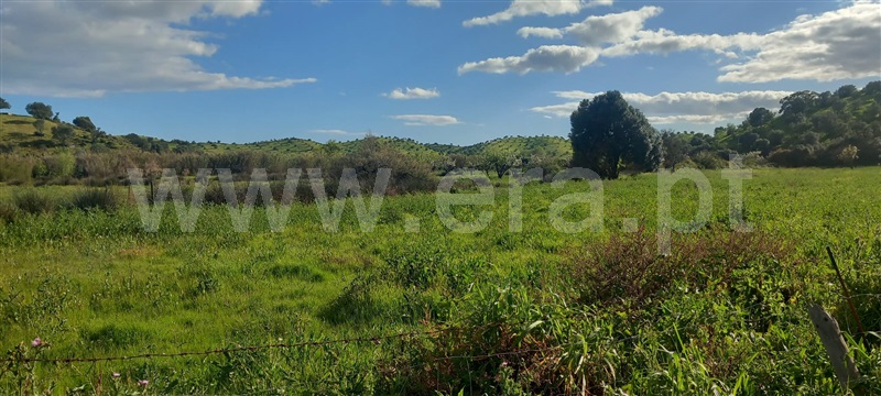 Moradia T3 à venda em Azinhal, Castro Marim — foto 10