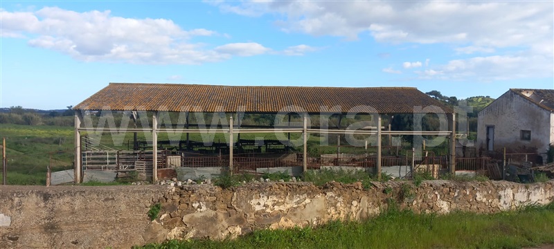Moradia T3 à venda em Azinhal, Castro Marim — foto 12