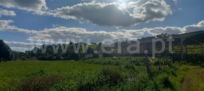 Moradia T3 à venda em Azinhal, Castro Marim — foto 13