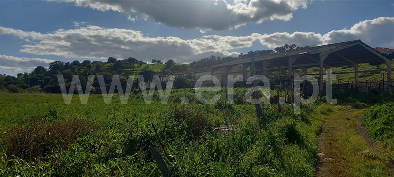 Moradia T3 à venda em Azinhal, Castro Marim — foto 14