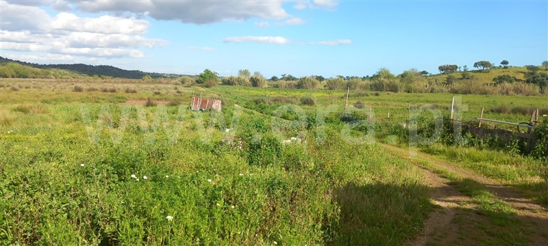 Moradia T3 à venda em Azinhal, Castro Marim — foto 17