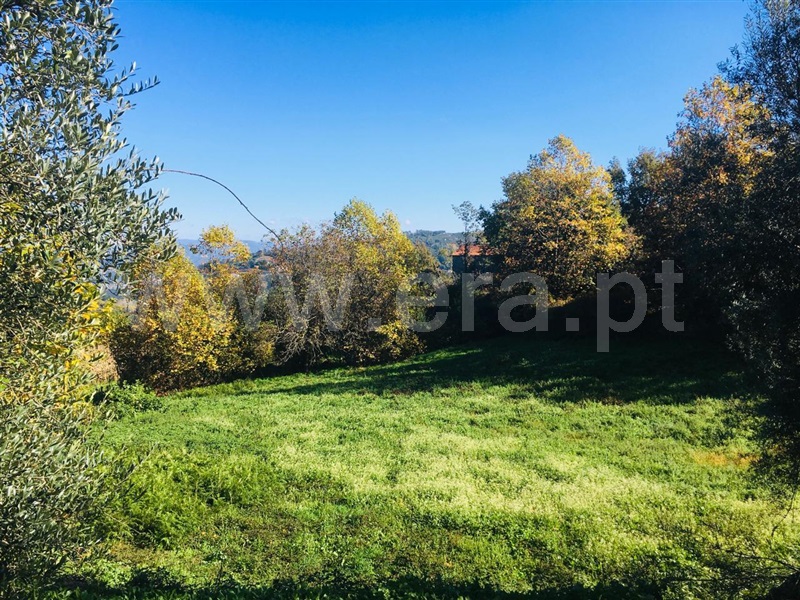 Moradia T3 Celorico de Basto, Basto (São Clemente) - 1383831 - 15