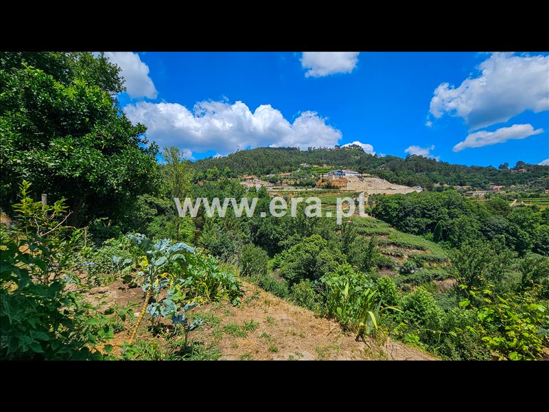 Moradia T3 à venda em Fervença, Celorico de Basto — foto 10