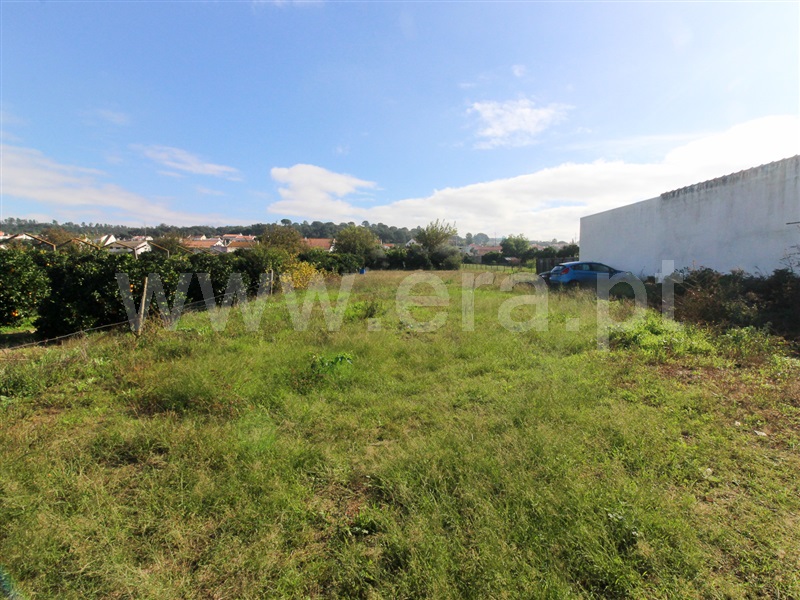 Moradia T3 Chamusca, Carregueira - 1368559 - 1