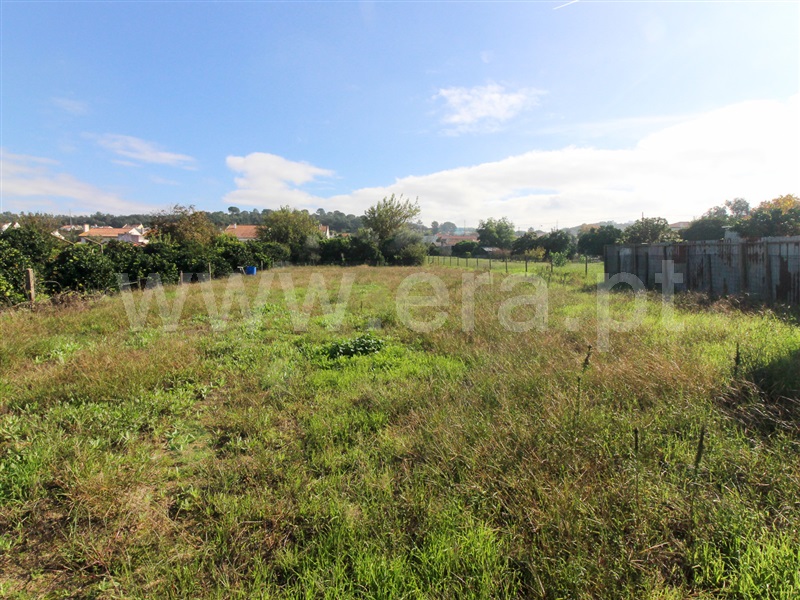 Moradia T3 Chamusca, Carregueira - 1368559 - 2