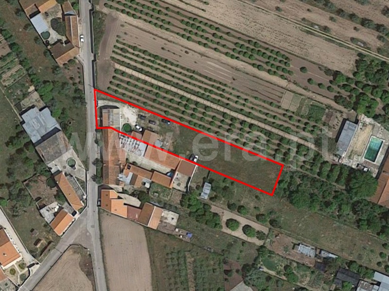 Moradia T3 Chamusca, Carregueira - 1368559 - 12