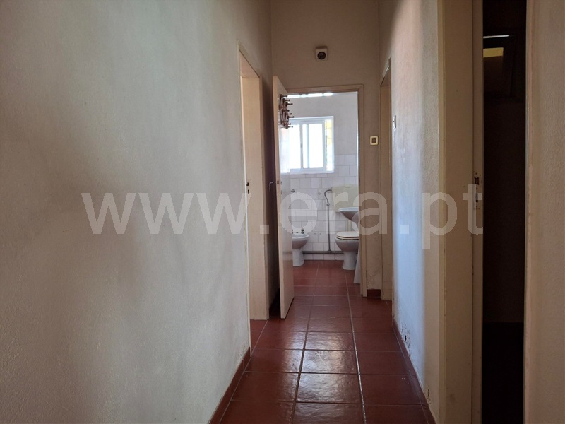 Moradia T3 Chamusca, Carregueira - 1496294 - 13