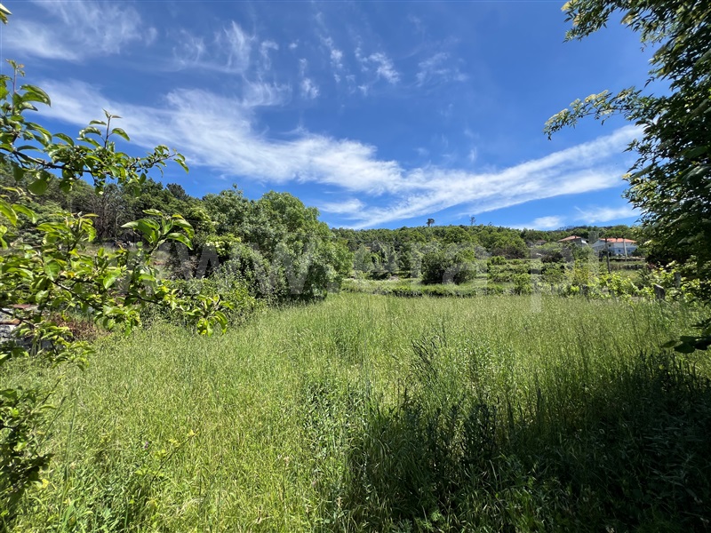 Moradia T3 com Terreno Chaves, Águas Frias - 1475801 - 11