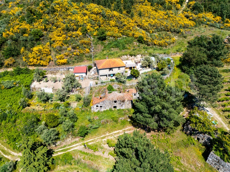Moradia T3 Cinfães, Oliveira do Douro - 1476548 - 4