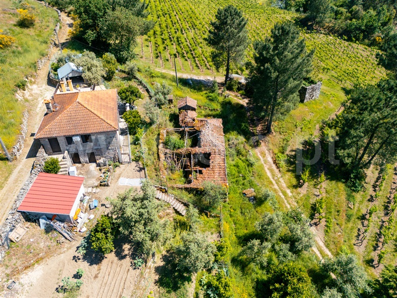 Moradia T3 Cinfães, Oliveira do Douro - 1476548 - 5
