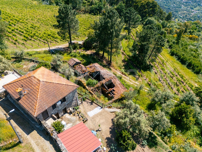 Moradia T3 Cinfães, Oliveira do Douro - 1476548 - 6