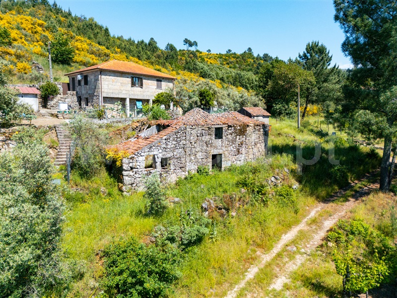 Moradia T3 Cinfães, Oliveira do Douro - 1476548 - 7