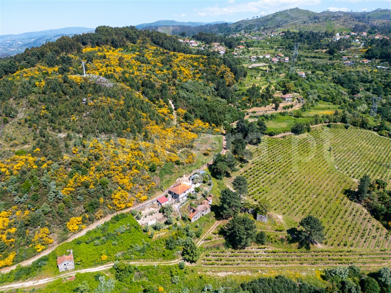 Moradia T3 Cinfães, Oliveira do Douro - 1476548 - 8