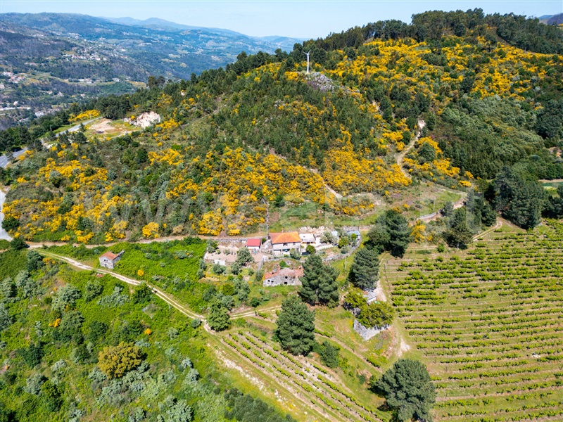 Moradia T3 Cinfães, Oliveira do Douro - 1476548 - 9