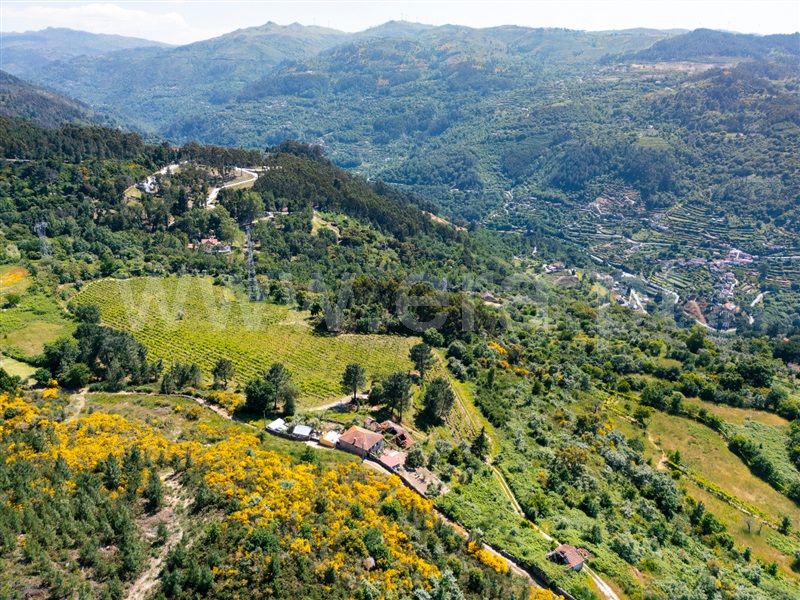 Moradia T3 Cinfães, Oliveira do Douro - 1476548 - 10