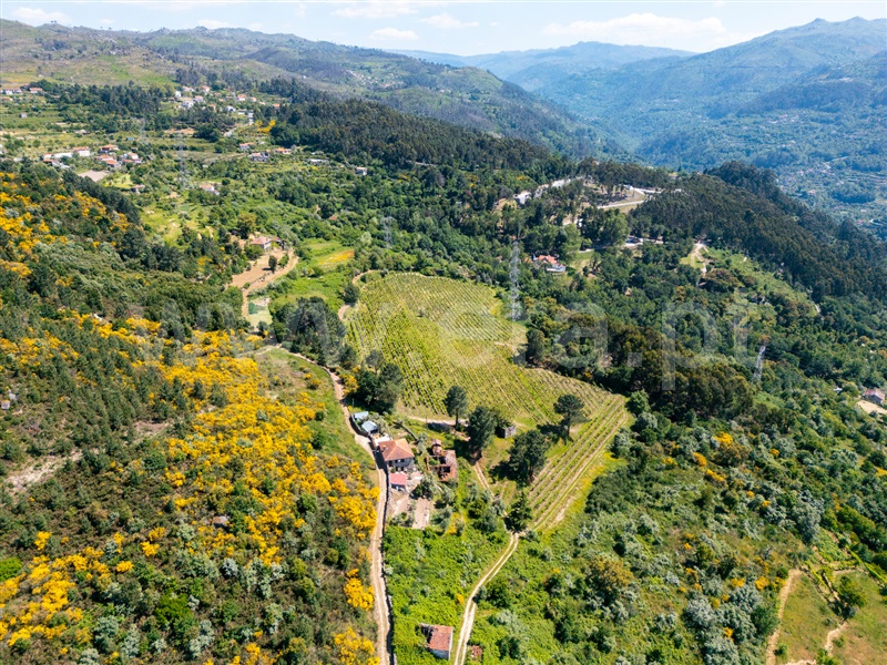 Moradia T3 Cinfães, Oliveira do Douro - 1476548 - 11