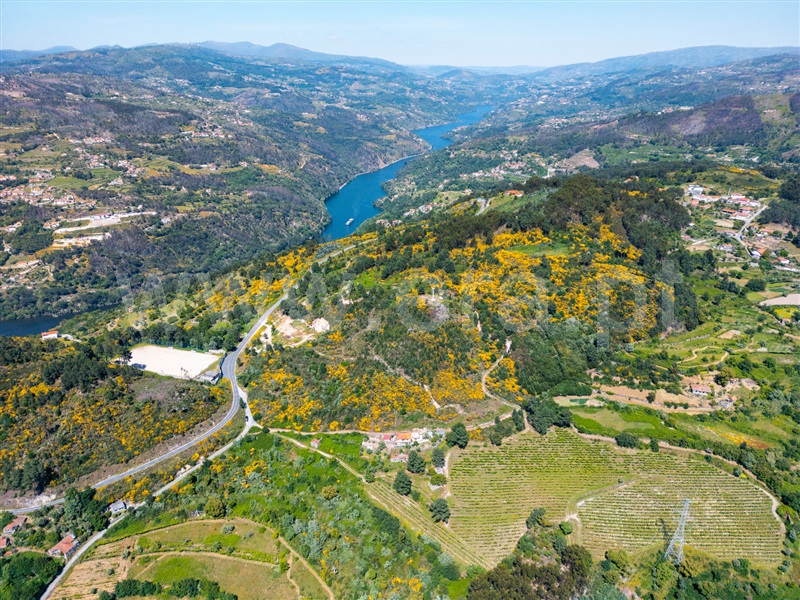 Moradia T3 Cinfães, Oliveira do Douro - 1476548 - 13