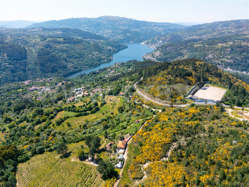 Moradia T3 Cinfães, Oliveira do Douro - 1476548 - 14