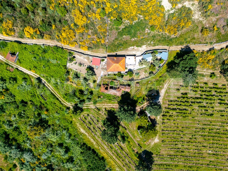 Moradia T3 Cinfães, Oliveira do Douro - 1476548 - 16