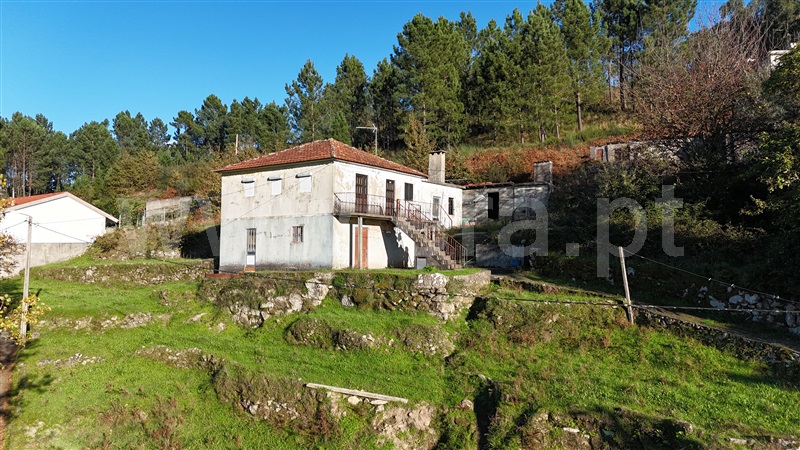 Moradia T3 Cinfães, São Cristóvão de Nogueira - 1292635 - 17
