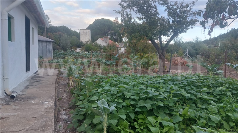 Moradia T3 à venda em Santa Margarida da Coutada, Constância — foto 3