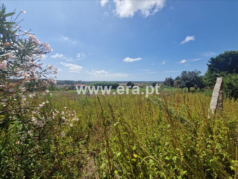 Moradia T3 à venda em Canelas e Fermelã, Estarreja — foto 6