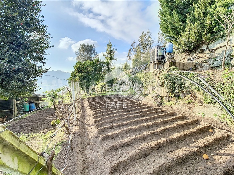 Moradia T3 Fafe, Cepães e Fareja - 1380986 - 15
