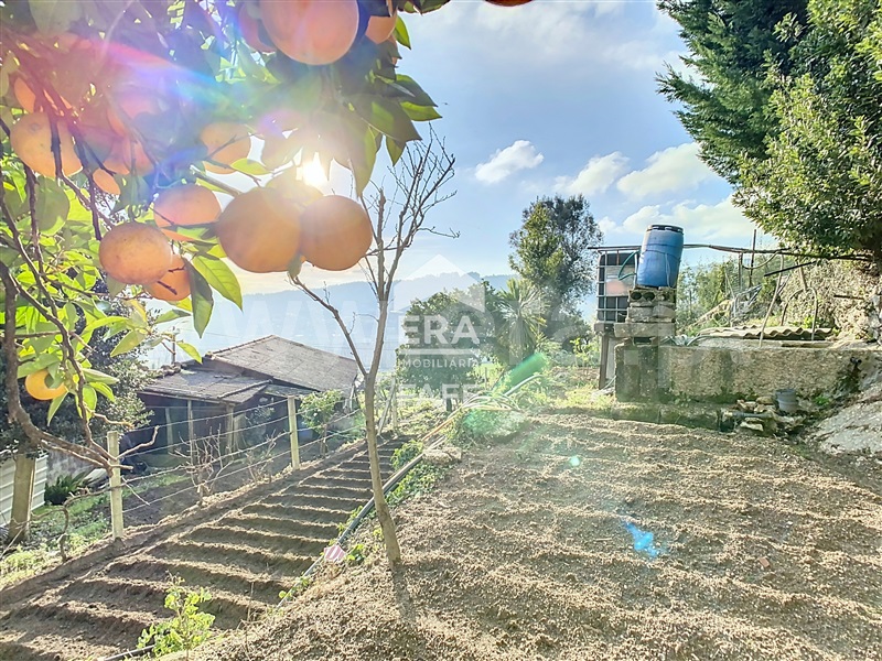 Moradia T3 Fafe, Cepães e Fareja - 1380986 - 16