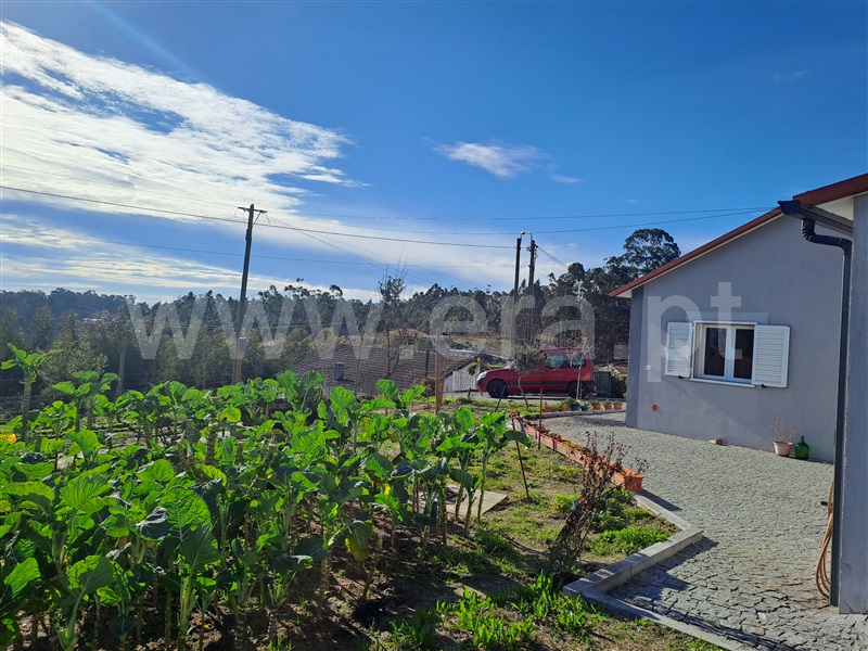 Moradia T3 Fafe, Passos - 1377914 - 6