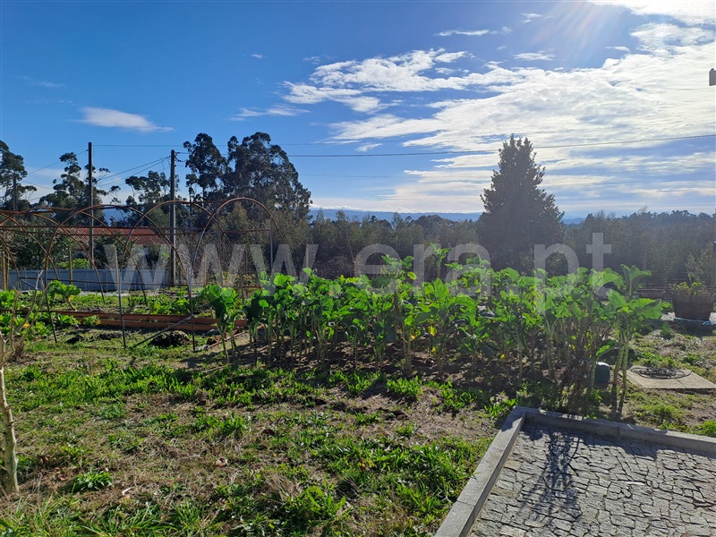 Moradia T3 Fafe, Passos - 1377914 - 7