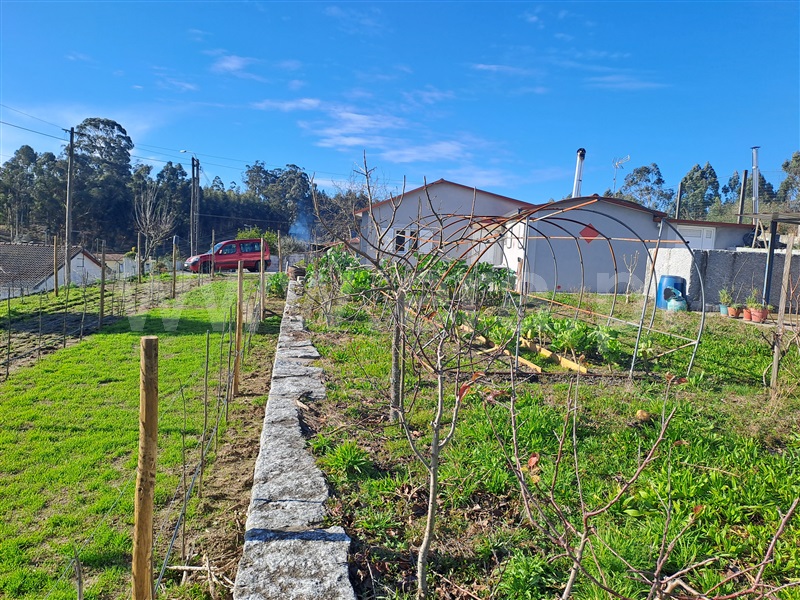 Moradia T3 Fafe, Passos - 1377914 - 9