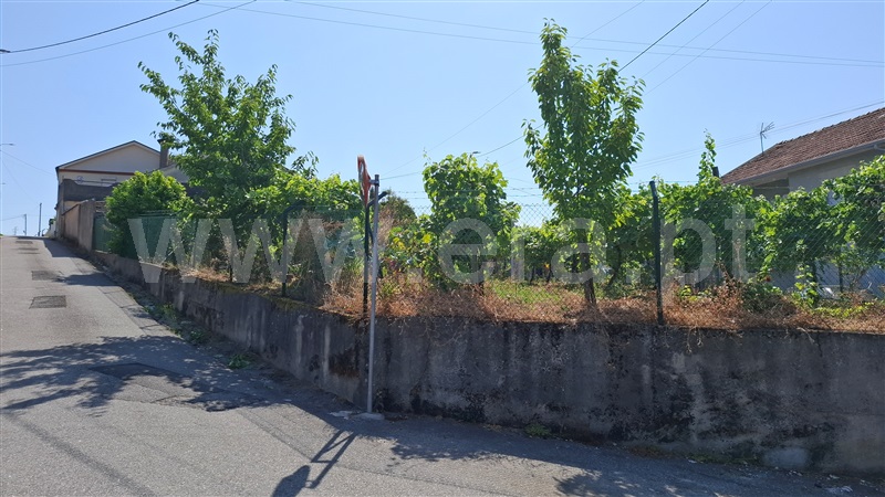 Moradia T3 Fafe, Quinchães - 1493439 - 13