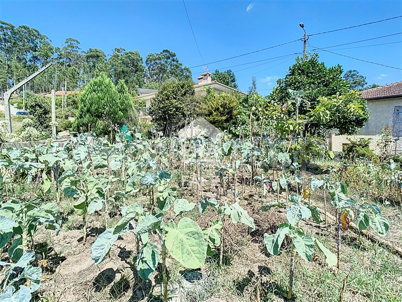 Moradia T3 Fafe, Regadas - 1424217 - 14
