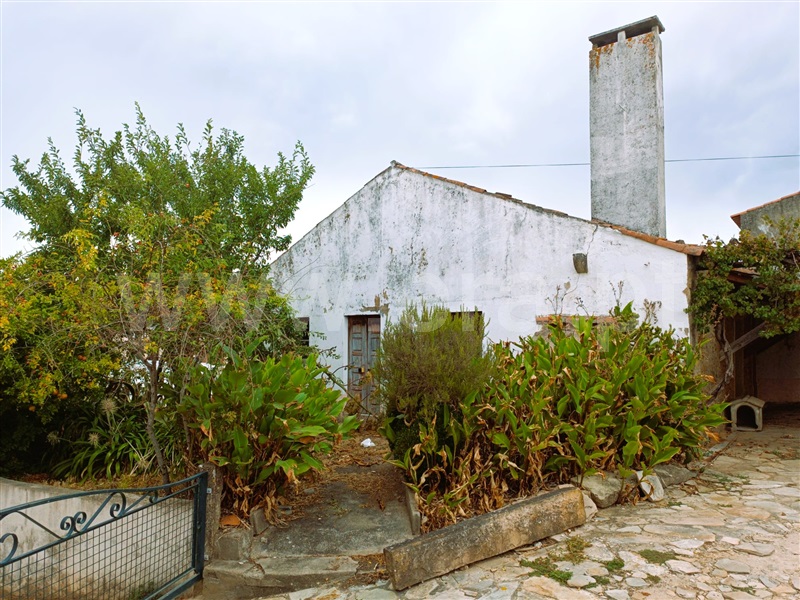 Moradia T3 Ferreira do Zêzere, Areias e Pias - 1506959 - 2