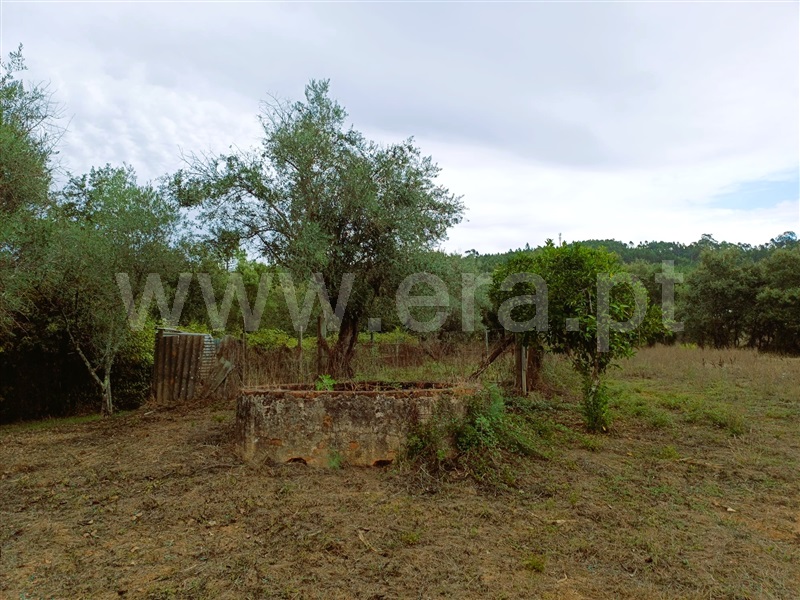 Moradia T3 Ferreira do Zêzere, Areias e Pias - 1506959 - 10