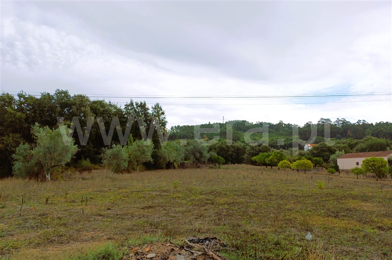 Moradia T3 Ferreira do Zêzere, Areias e Pias - 1506959 - 11