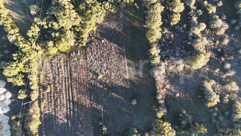 Moradia T3 à venda em Areias e Pias, Ferreira do Zêzere — foto 10
