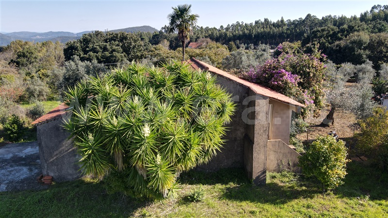 Moradia T3 Ferreira do Zêzere, Nossa Senhora do Pranto - 1367275 - 22