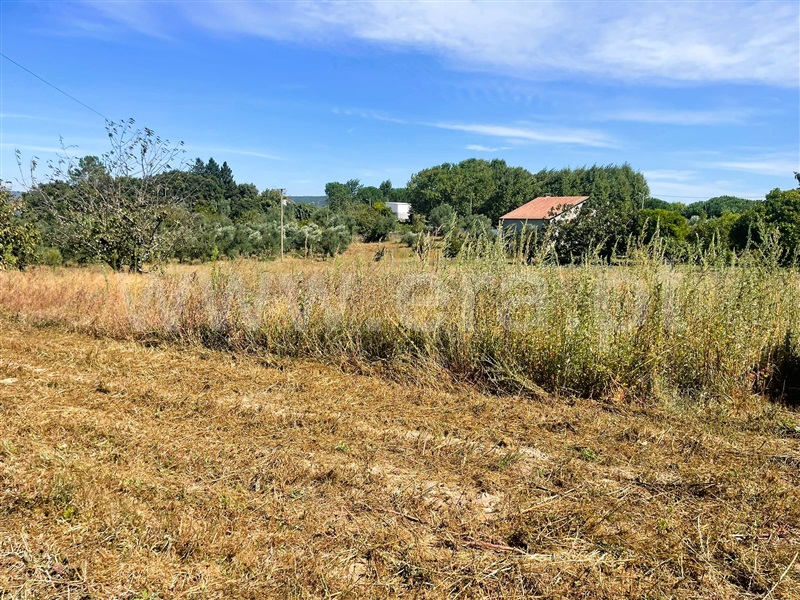 Moradia T3 Ferreira do Zêzere, Nossa Senhora do Pranto - 1433578 - 11