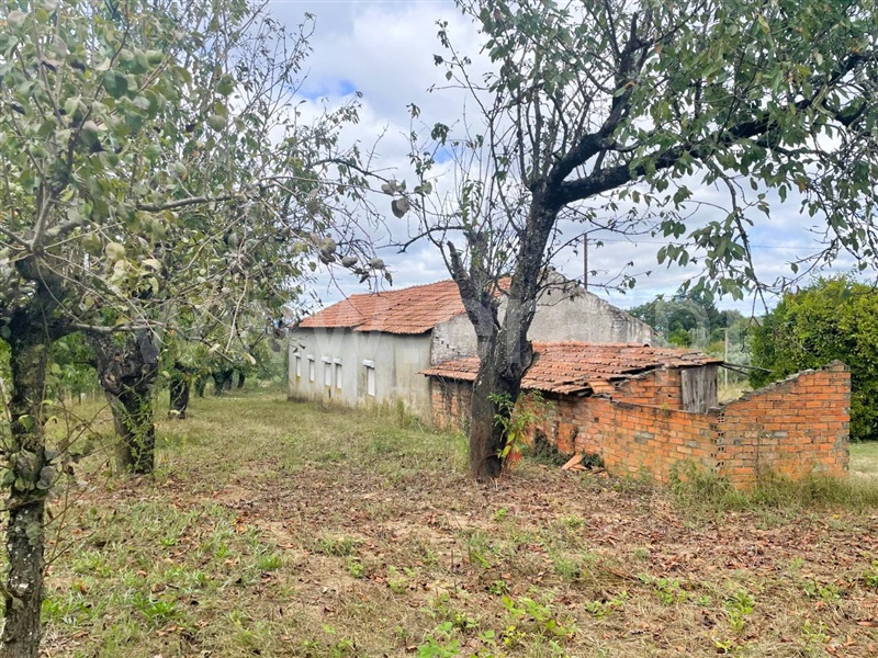 Moradia T3 Ferreira do Zêzere, Nossa Senhora do Pranto - 1433578 - 10
