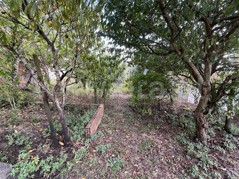 Moradia T3 Figueira da Foz, Maiorca - 1513719 - 11