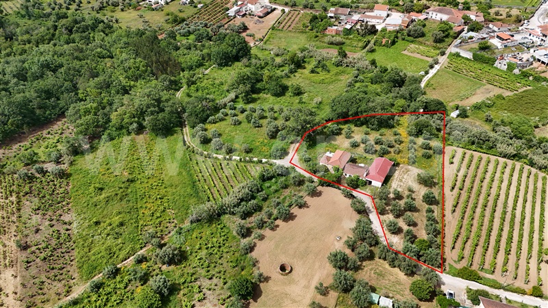 Moradia T3 / Figueiró dos Vinhos, Aguda