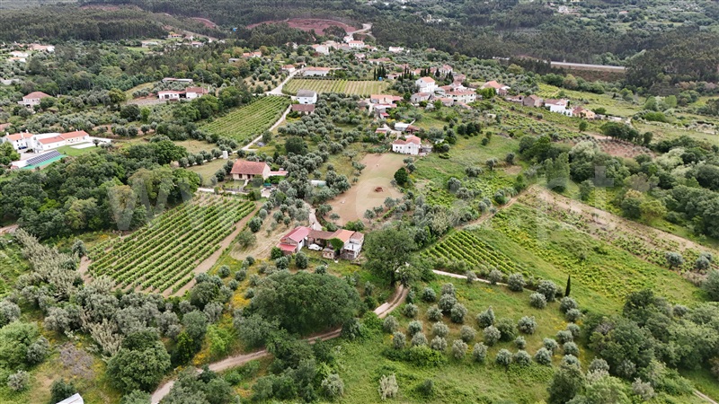 Moradia T3 Figueiró dos Vinhos, Aguda - 1411067 - 4