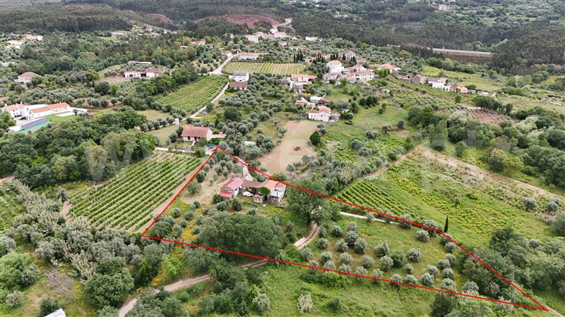 Moradia T3 Figueiró dos Vinhos, Aguda - 1411067 - 5