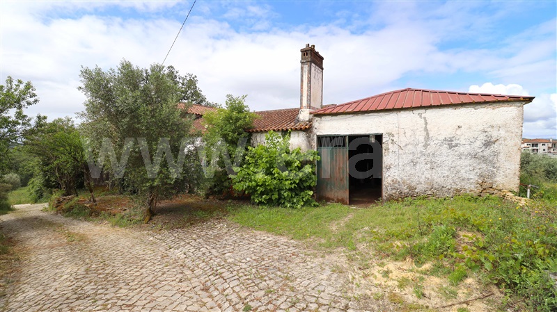 Moradia T3 Figueiró dos Vinhos, Aguda - 1411067 - 10