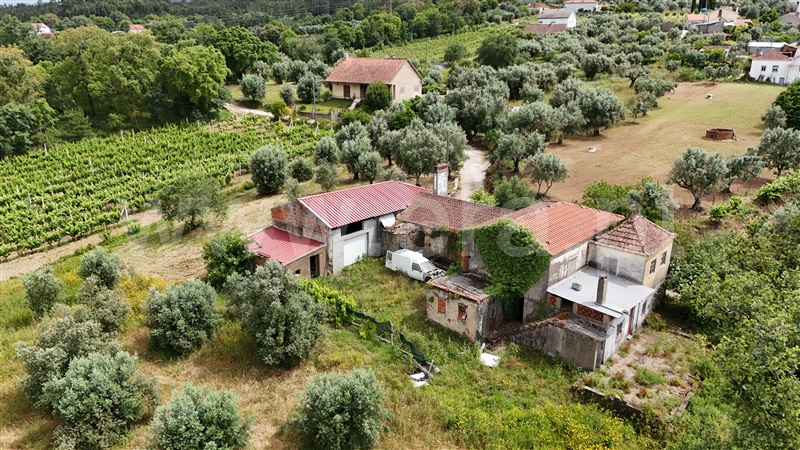 Moradia T3 Figueiró dos Vinhos, Aguda - 1411067 - 14