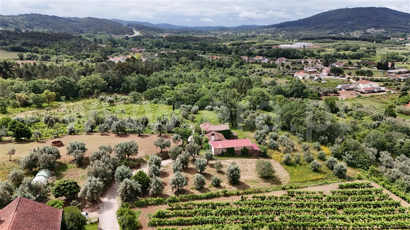 Moradia T3 Figueiró dos Vinhos, Aguda - 1411067 - 16
