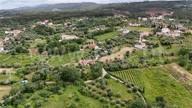 Moradia T3 Figueiró dos Vinhos, Aguda - 1411067 - 17