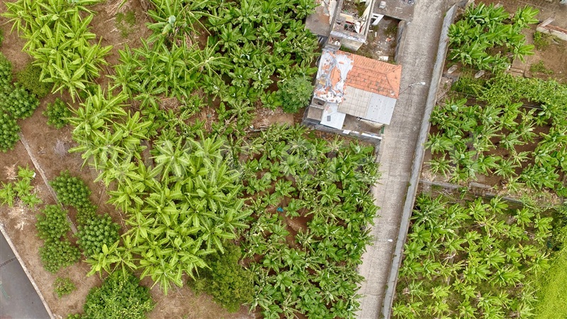 Moradia T3 à venda em São Roque, Funchal — foto 9
